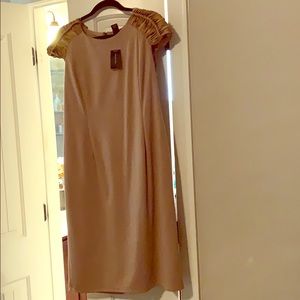 Ashley Stewart Dress size 14/16